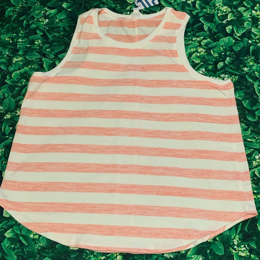 Rex High Neck Knit Tank